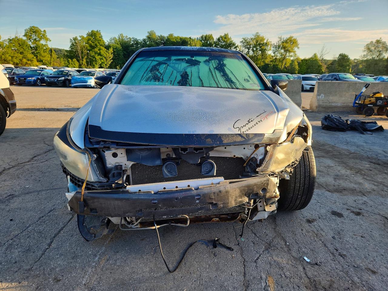 2012 Honda Accord Se Silver vin: 1HGCP2F60CA085924