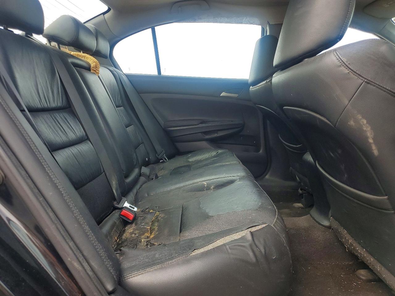 2011 Honda Accord Se Gray vin: 1HGCP2F61BA134448