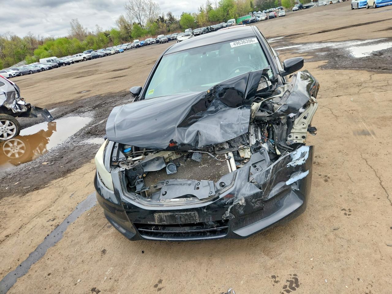 2011 Honda Accord Se Black vin: 1HGCP2F62BA150576