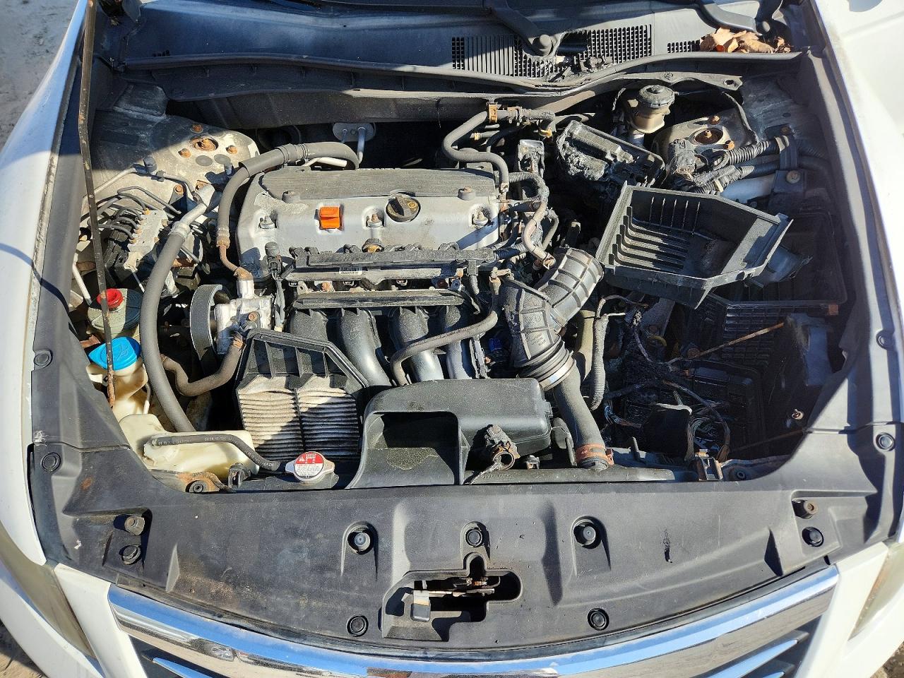 2011 Honda Accord Se White vin: 1HGCP2F63BA082126