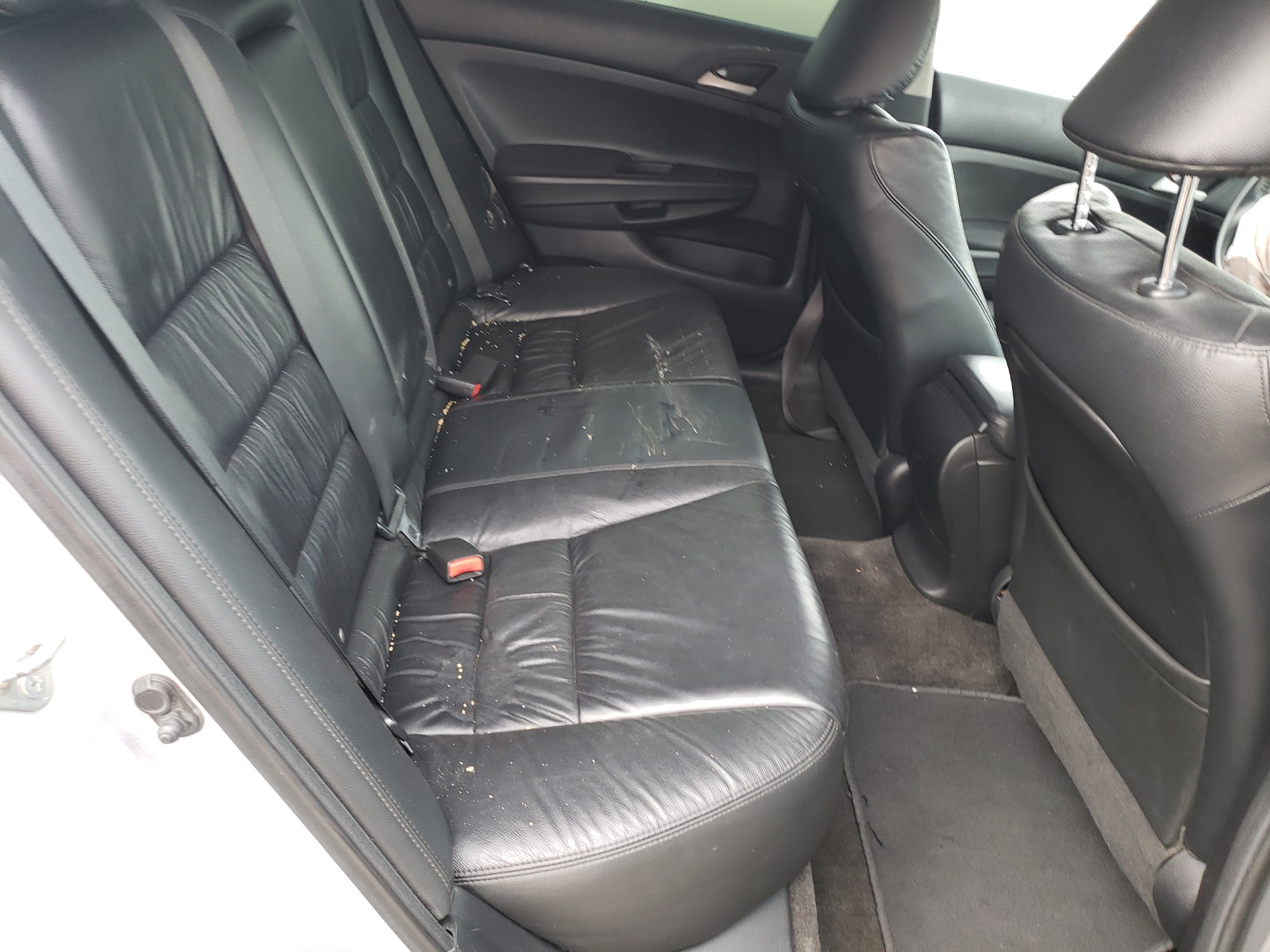 2012 Honda Accord Se Silver vin: 1HGCP2F64CA071038