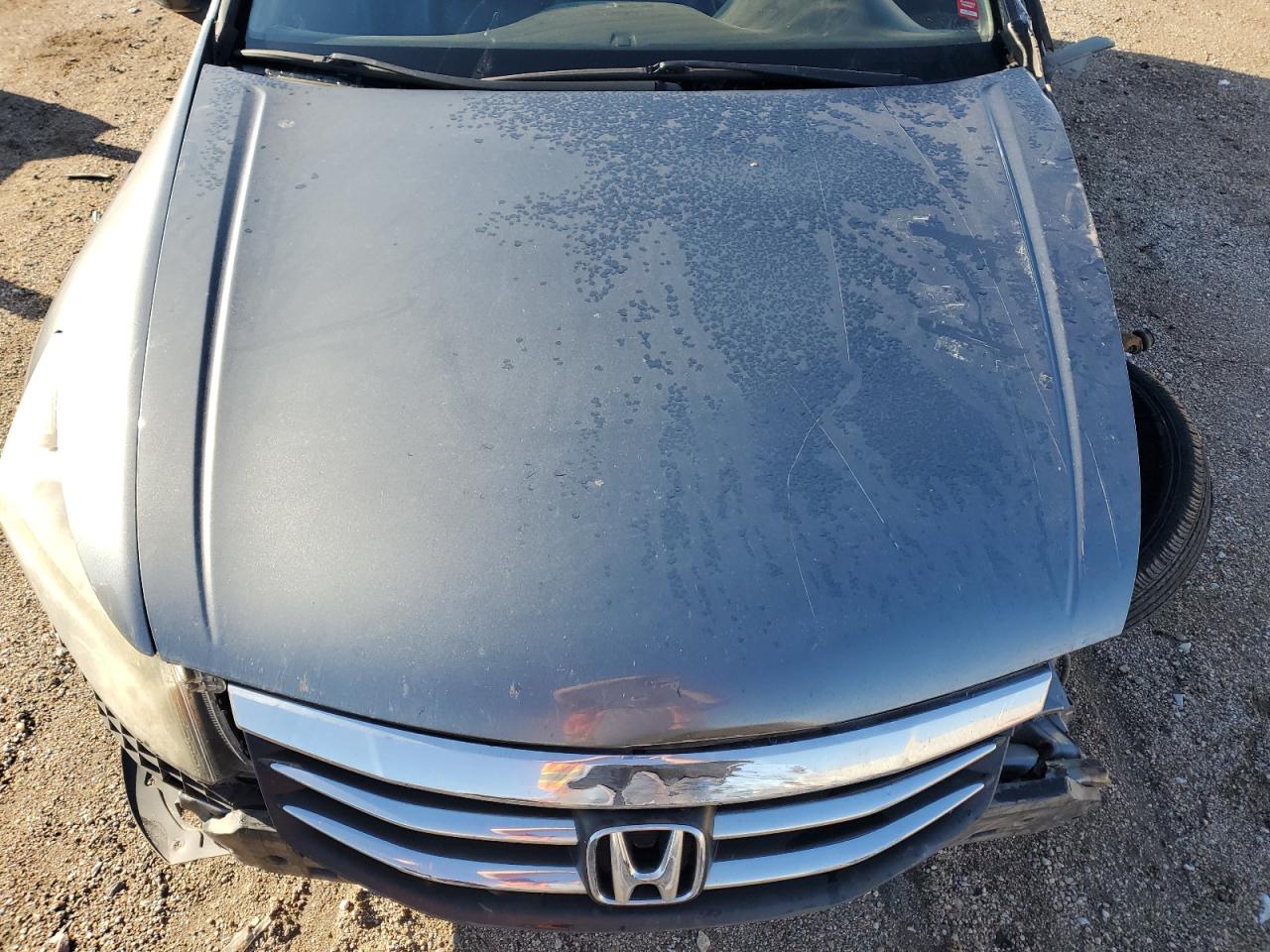 2012 Honda Accord Se Gray vin: 1HGCP2F64CA161824
