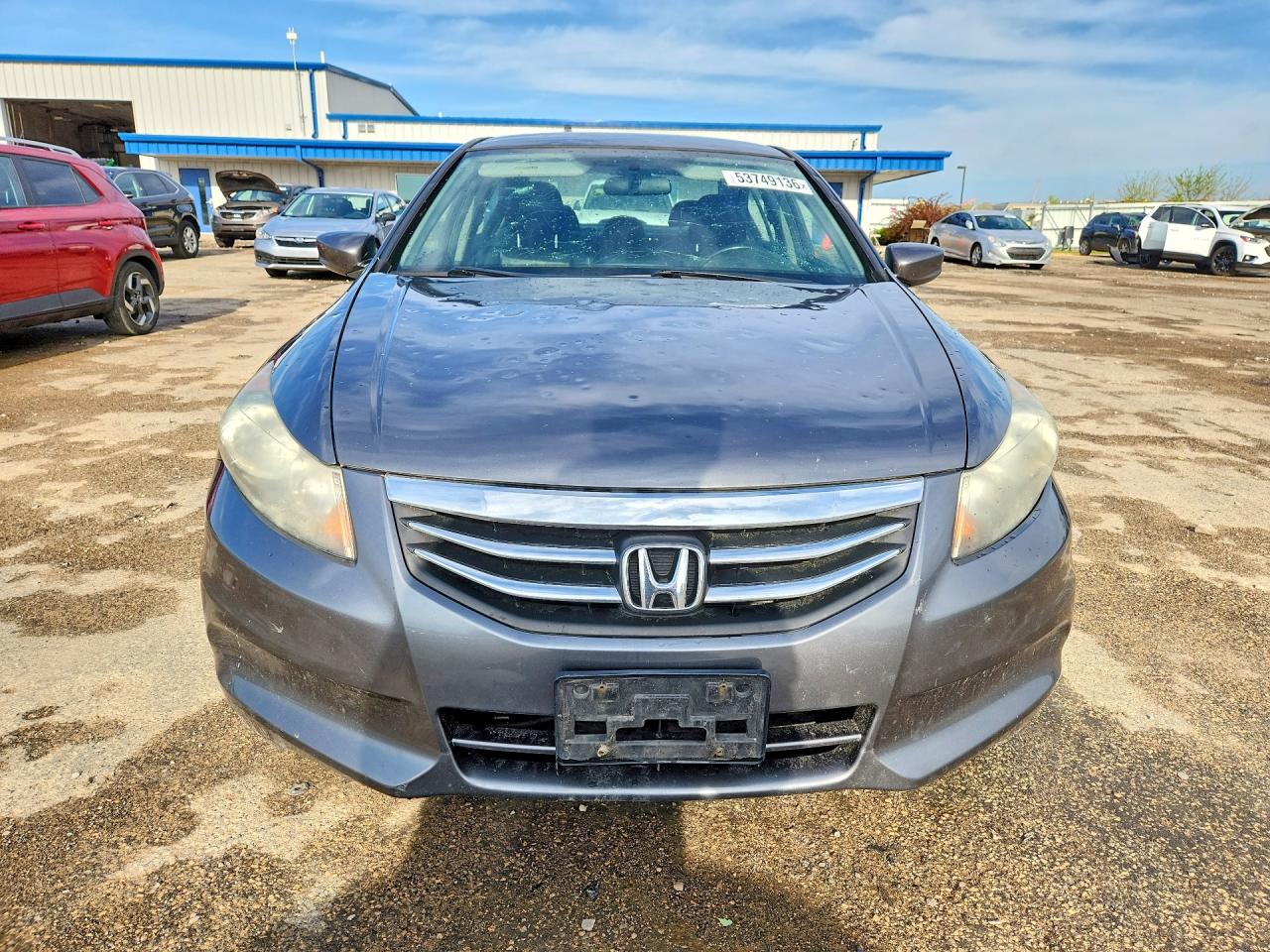 2011 Honda Accord Se Gray vin: 1HGCP2F65BA131696