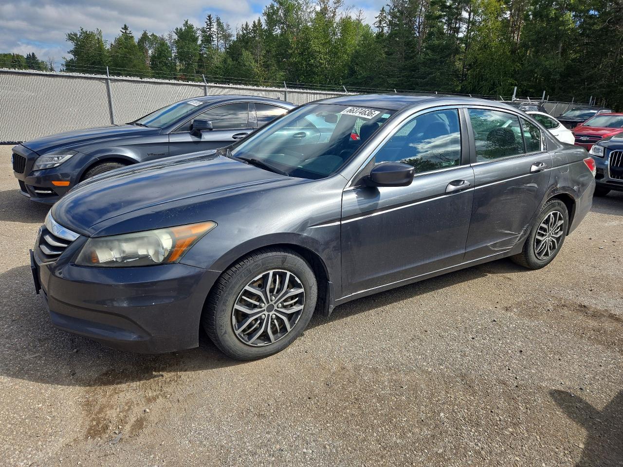 2011 Honda Accord Se Gray vin: 1HGCP2F65BA801411
