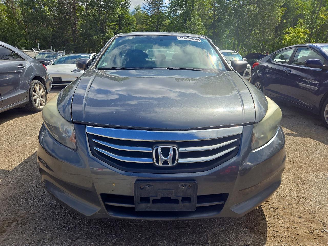 2011 Honda Accord Se Gray vin: 1HGCP2F65BA801411