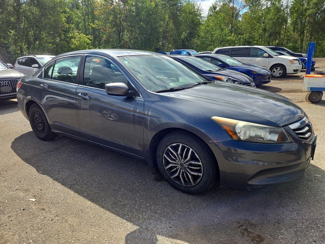 2011 Honda Accord Se Gray vin: 1HGCP2F65BA801411