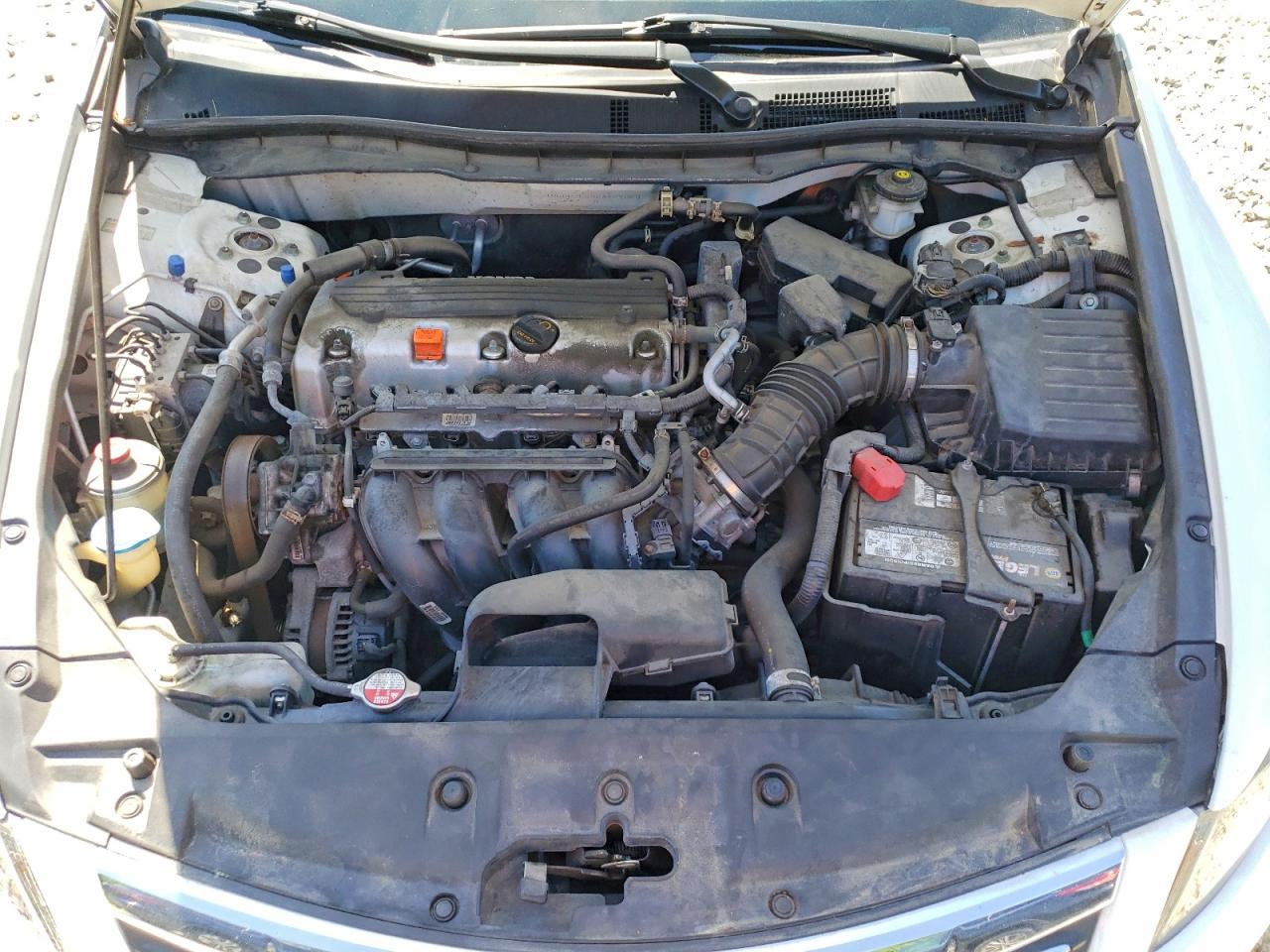 2012 Honda Accord White vin: 1HGCP2F66CA189060