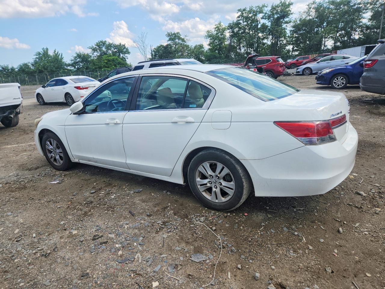 2011 Honda Accord Se White vin: 1HGCP2F69BA141048