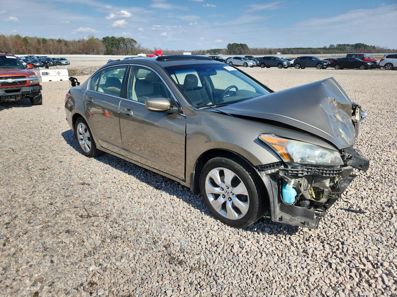 2010 Honda Accord Ex Кремовый vin: 1HGCP2F71AA008033