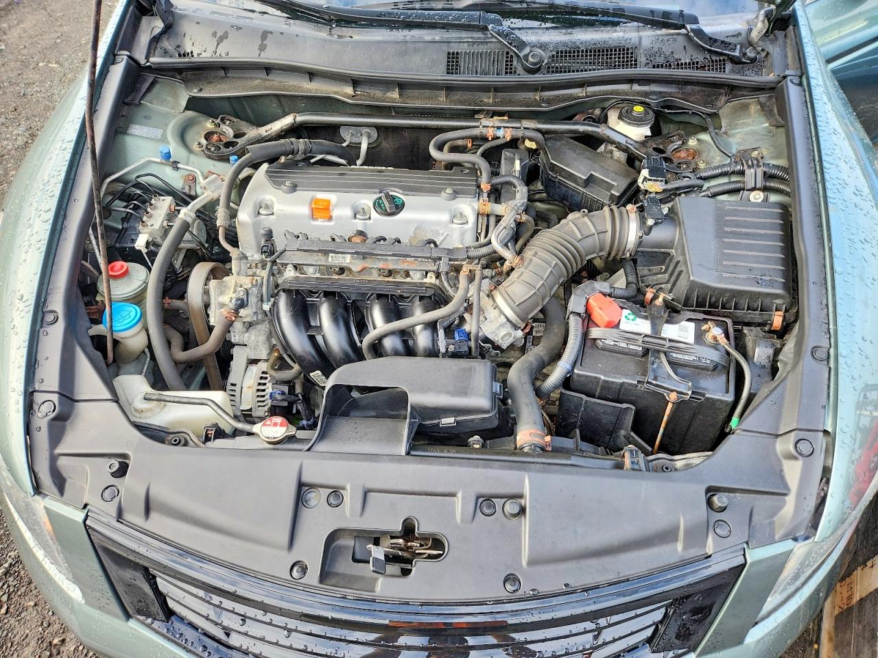 2010 Honda Accord Ex Green vin: 1HGCP2F71AA074047