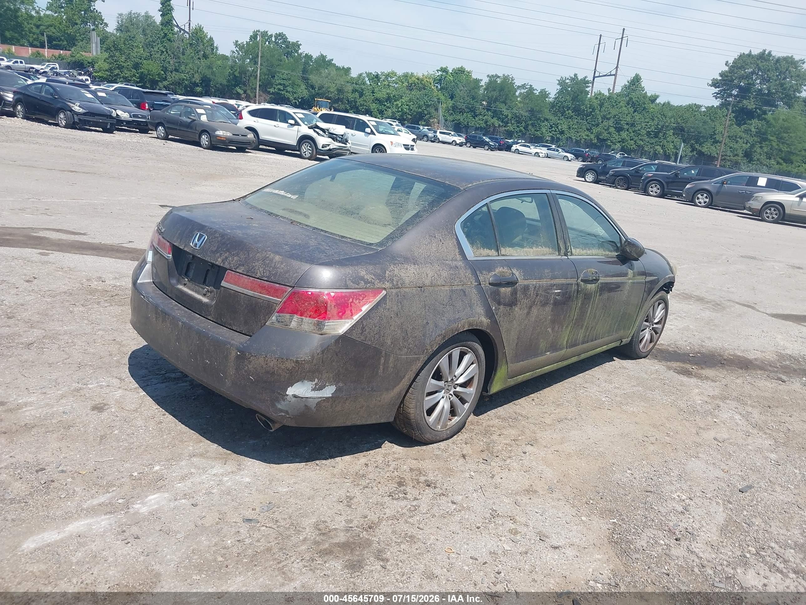 2011 Honda Accord 2.4 Ex Brown vin: 1HGCP2F72BA020693