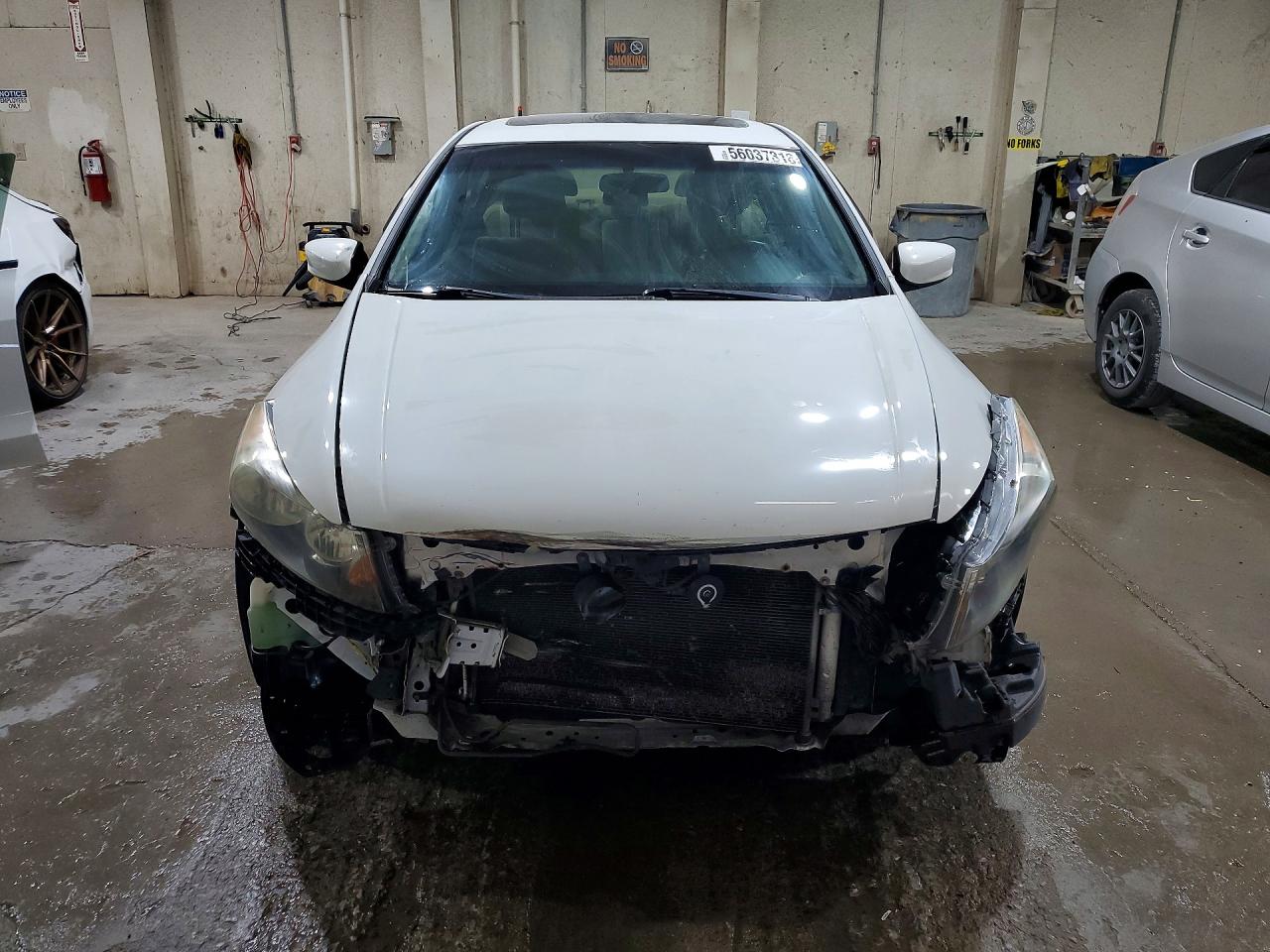 2012 Honda Accord Ex White vin: 1HGCP2F72CA158204
