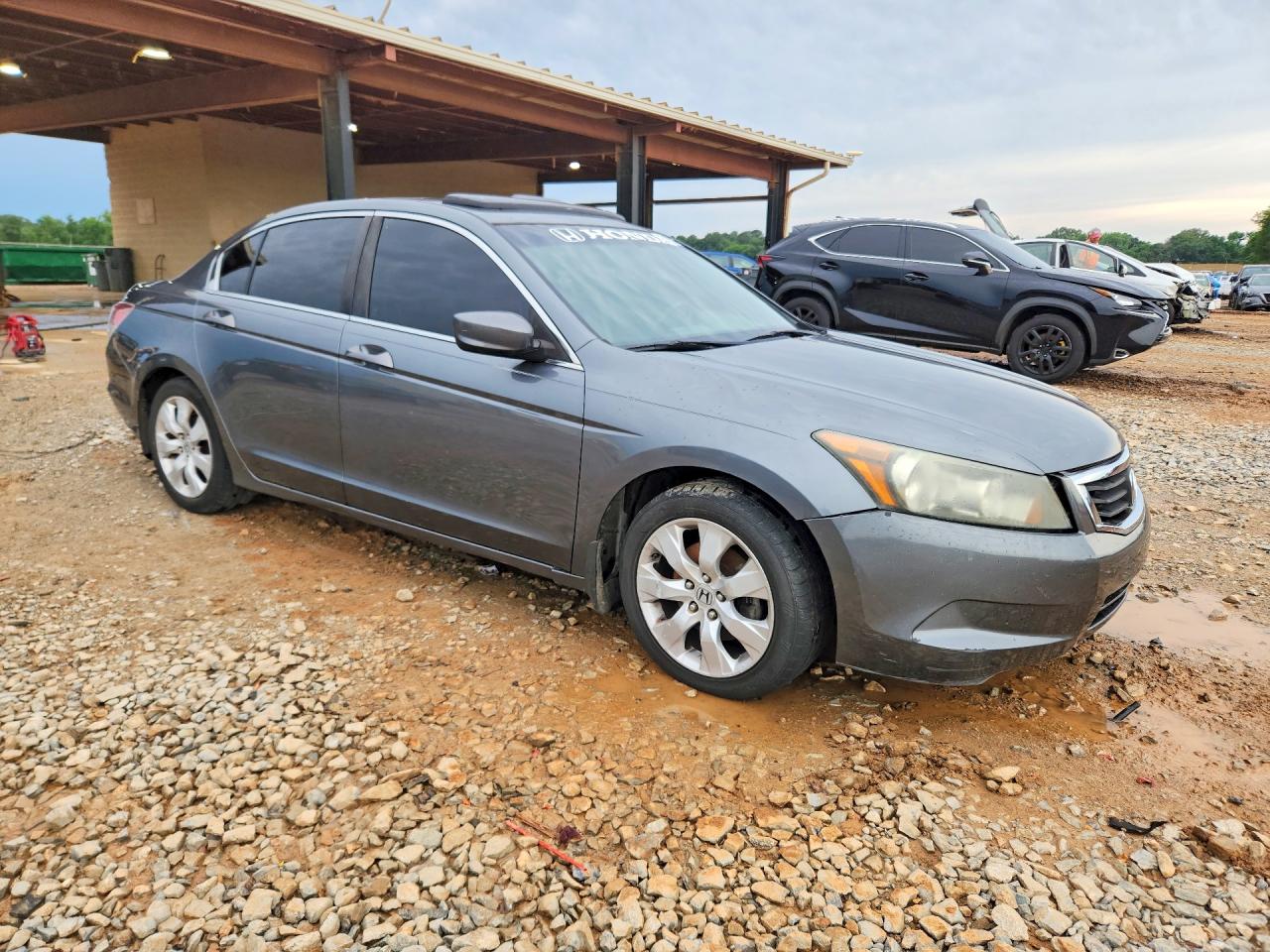 2010 Honda Accord Ex Gray vin: 1HGCP2F75AA009783