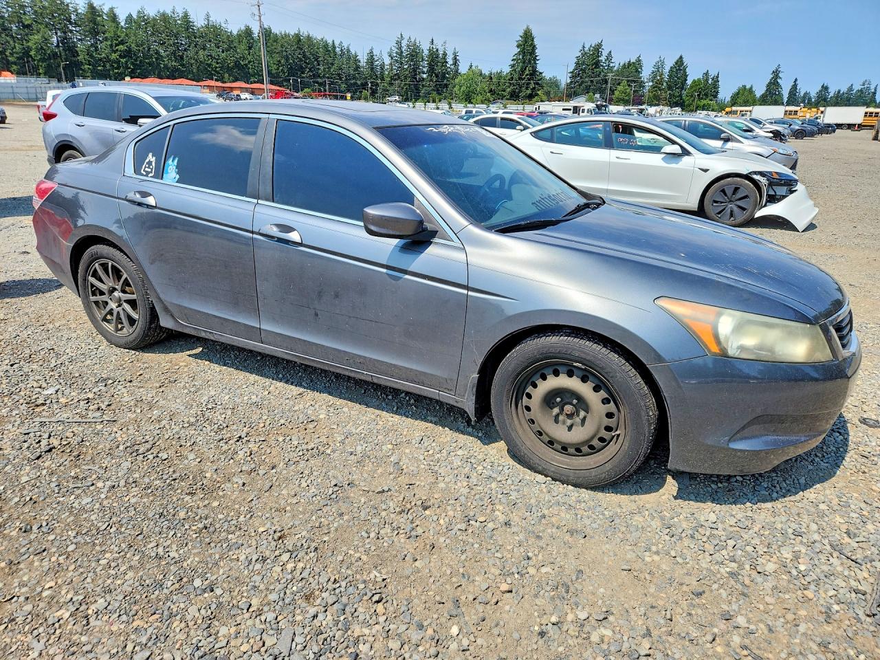 2010 Honda Accord Ex Gray vin: 1HGCP2F75AA068042