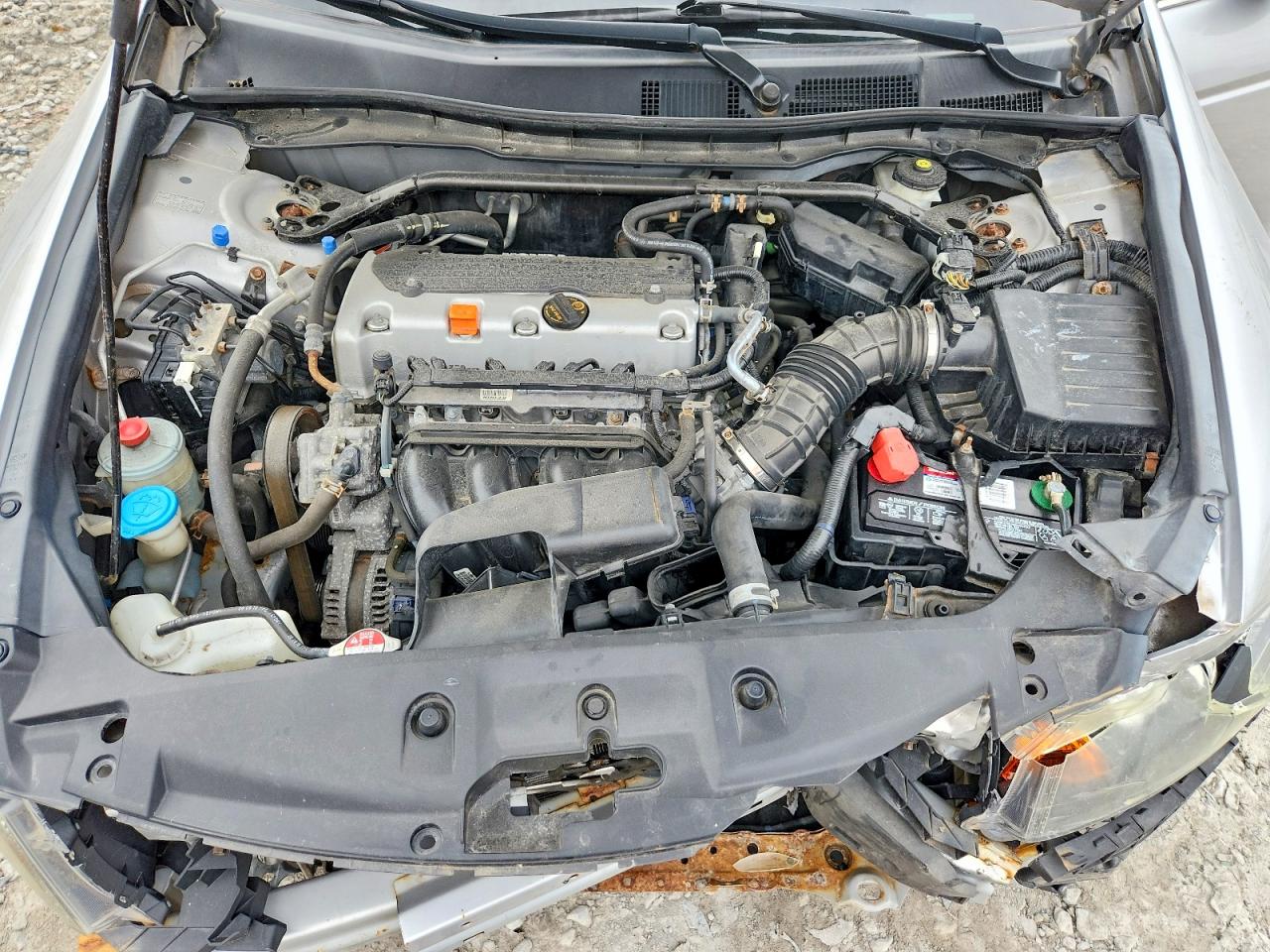 2011 Honda Accord Ex White vin: 1HGCP2F75BA127818
