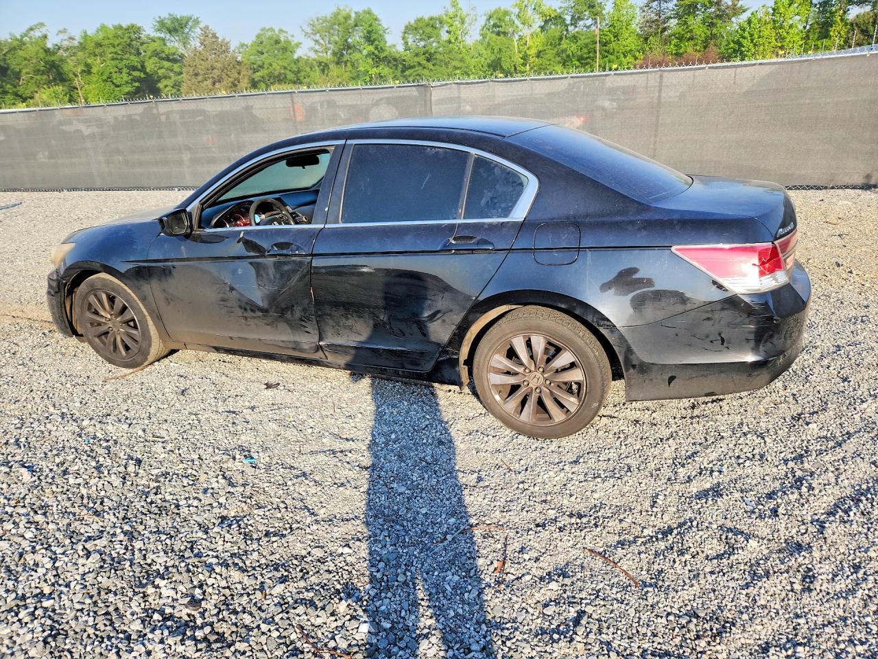 2011 Honda Accord Ex Black vin: 1HGCP2F76BA070383