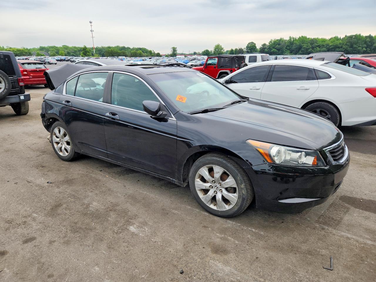 2010 Honda Accord Ex Black vin: 1HGCP2F77AA114390