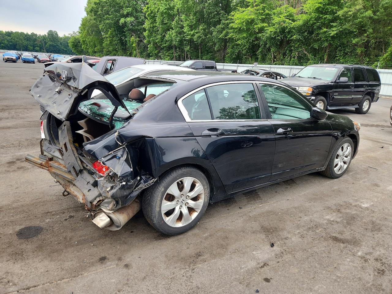 2010 Honda Accord Ex Black vin: 1HGCP2F77AA114390