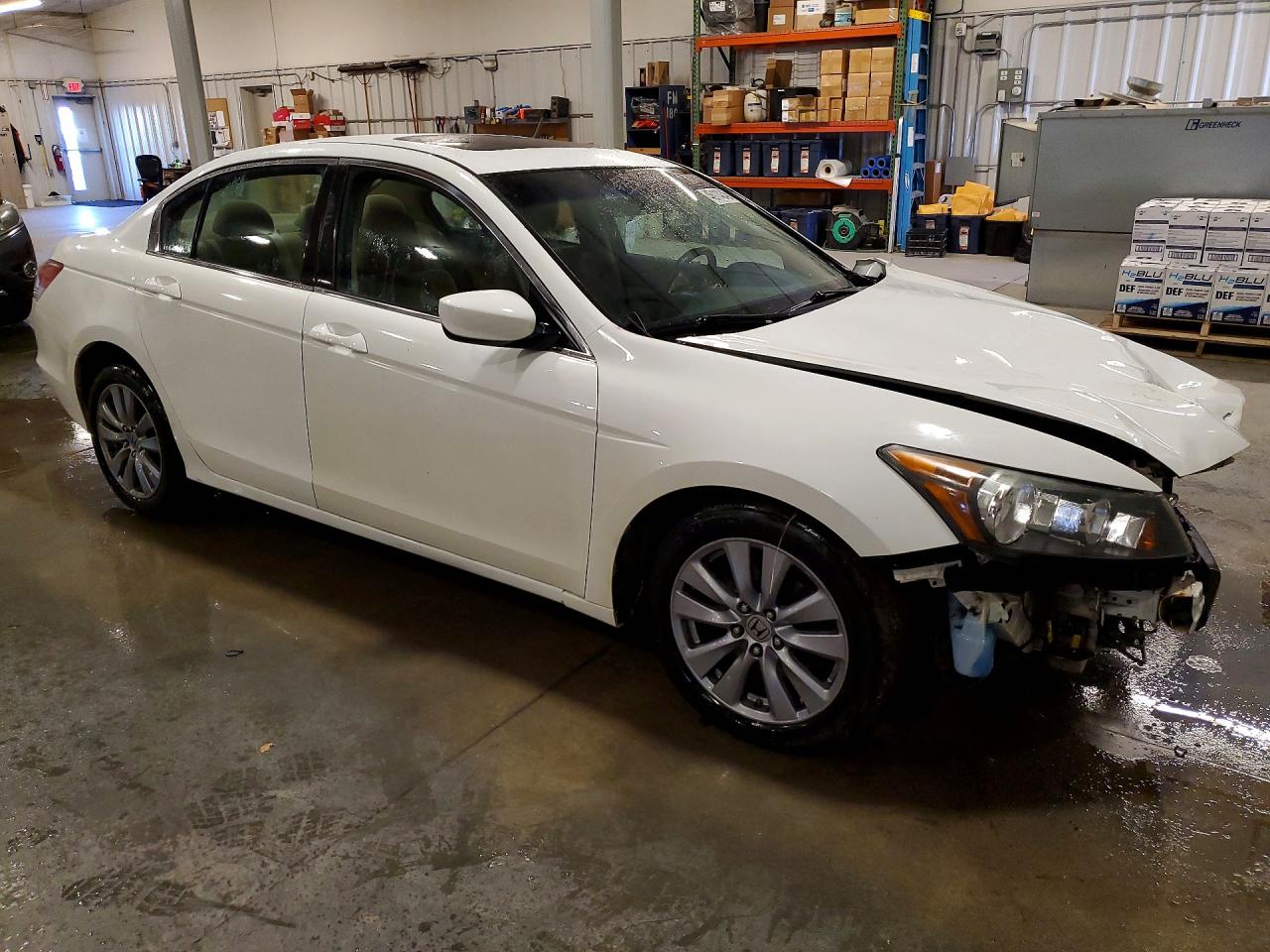 2011 Honda Accord Ex White vin: 1HGCP2F77BA064267