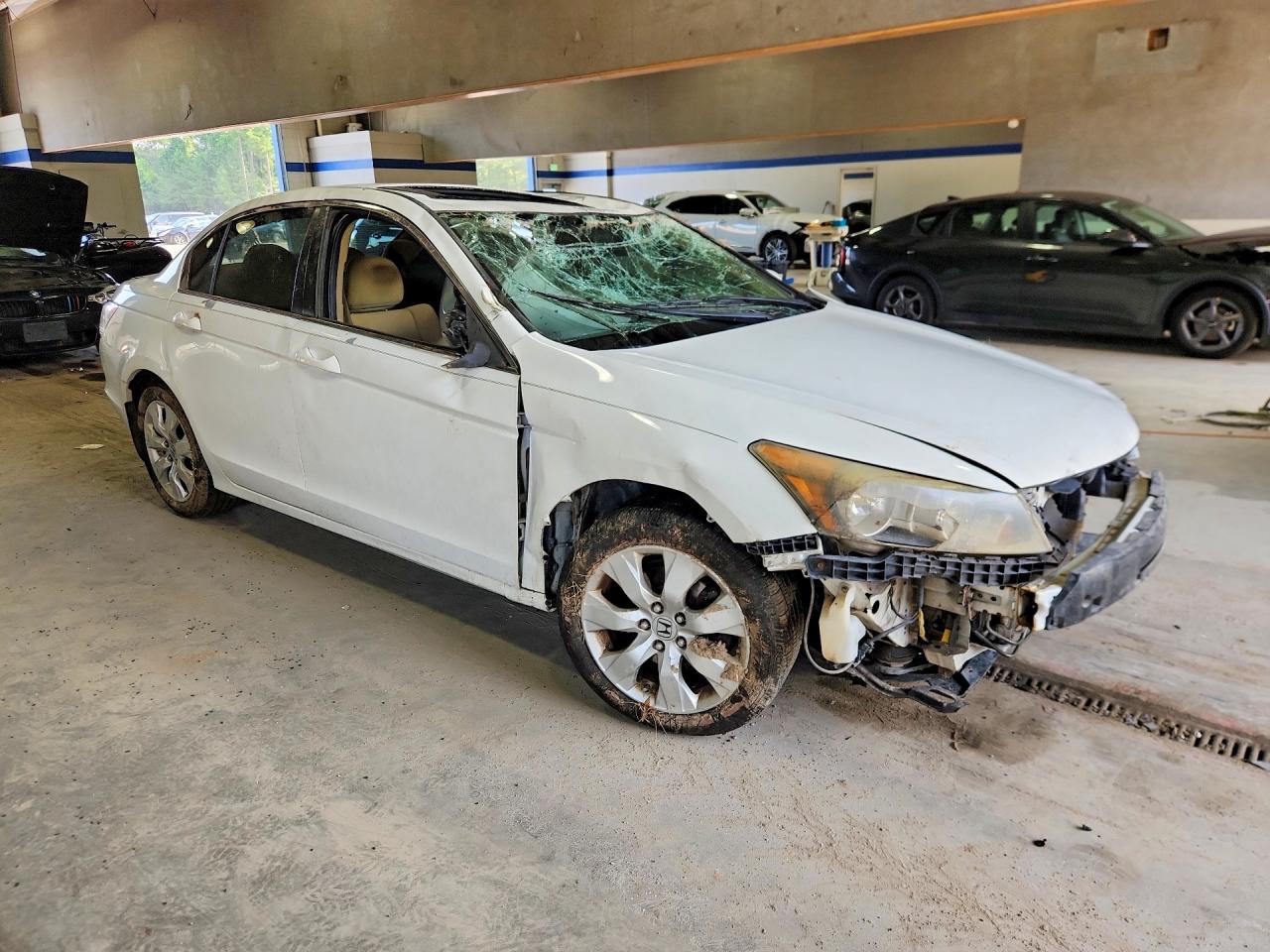 2010 Honda Accord Ex White vin: 1HGCP2F78AA083926