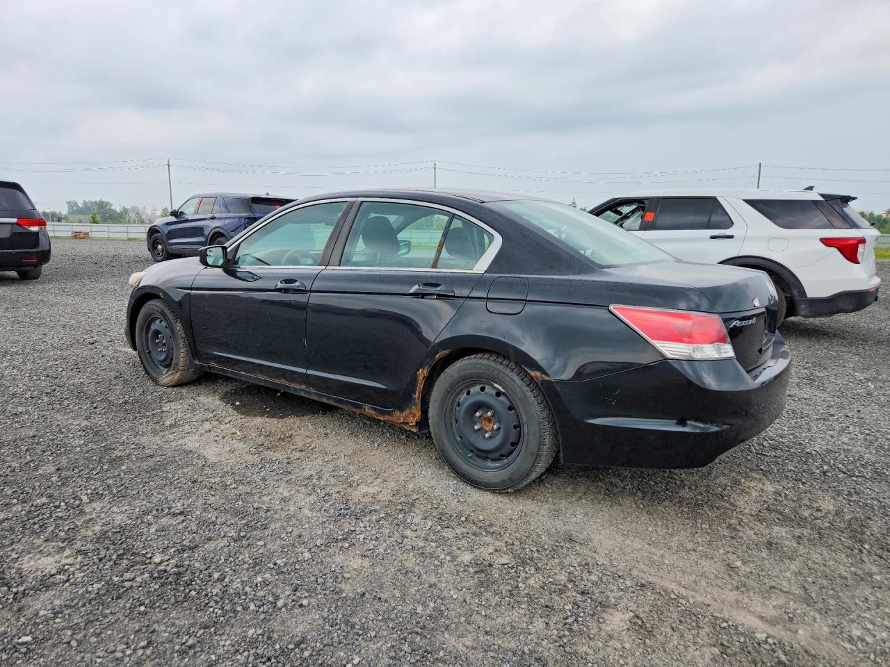 2010 Honda Accord Ex Black vin: 1HGCP2F78AA805556