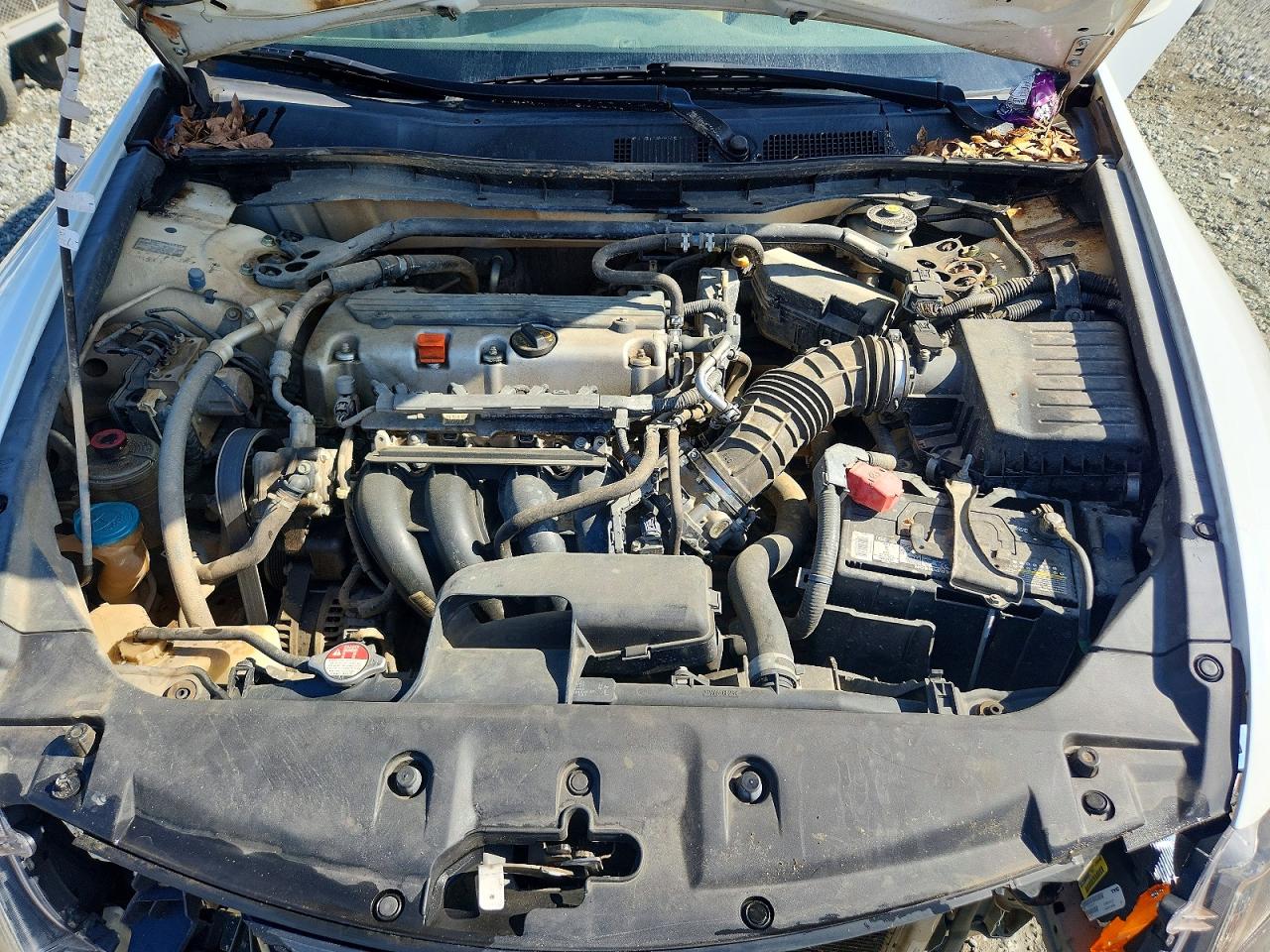 2011 Honda Accord Ex White vin: 1HGCP2F78BA112682