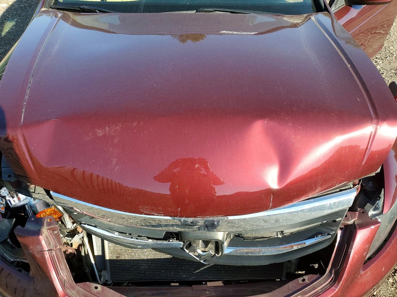 2012 Honda Accord Ex Burgundy vin: 1HGCP2F78CA100307