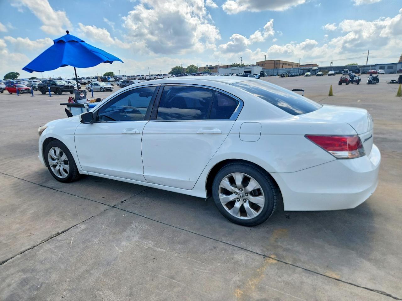 2010 Honda Accord Ex White vin: 1HGCP2F79AA007907