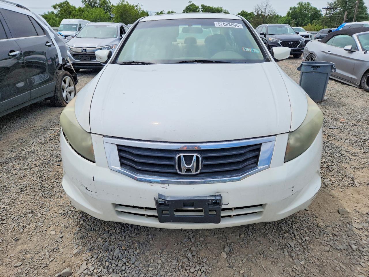 2010 Honda Accord Ex White vin: 1HGCP2F79AA116643