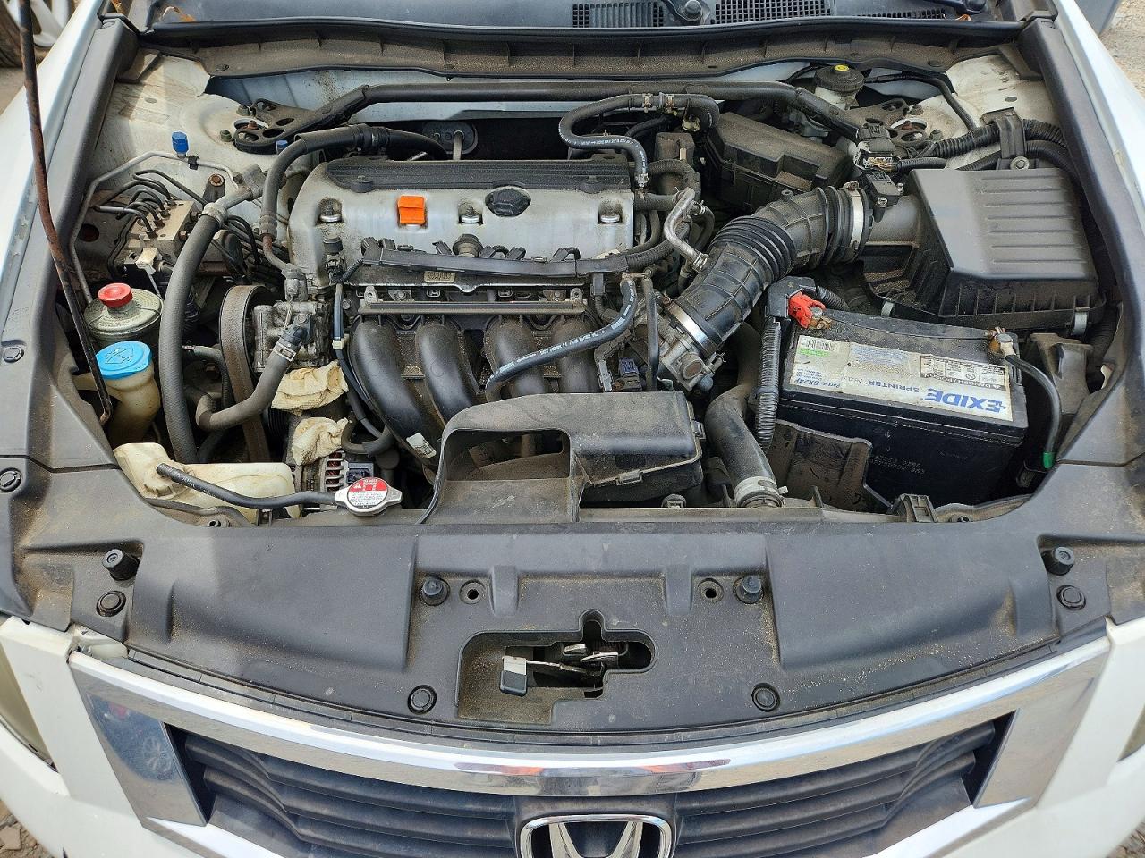 2010 Honda Accord Ex White vin: 1HGCP2F79AA116643