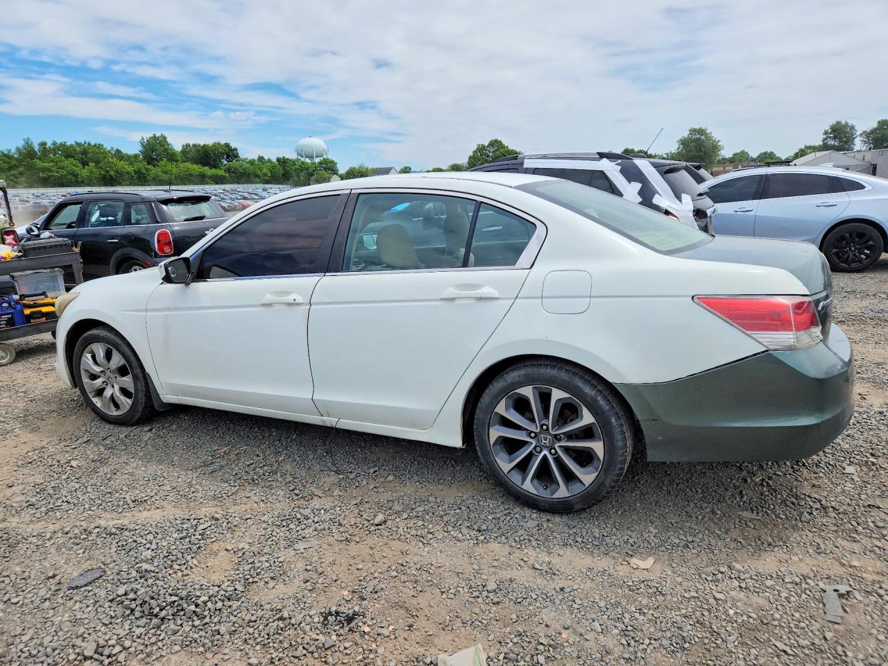 2010 Honda Accord Ex White vin: 1HGCP2F79AA116643