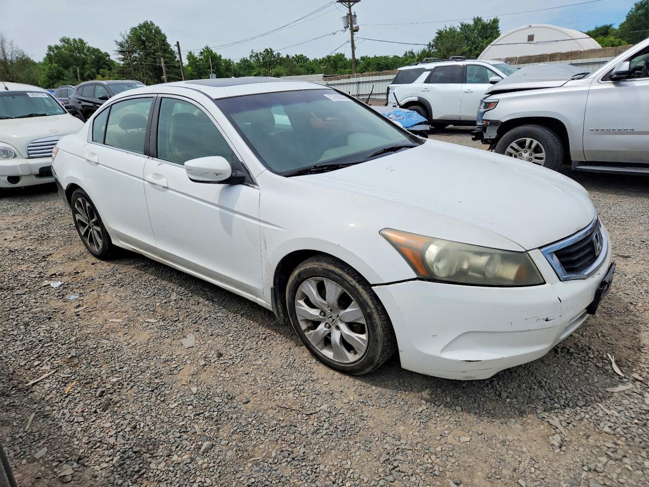 2010 Honda Accord Ex White vin: 1HGCP2F79AA116643