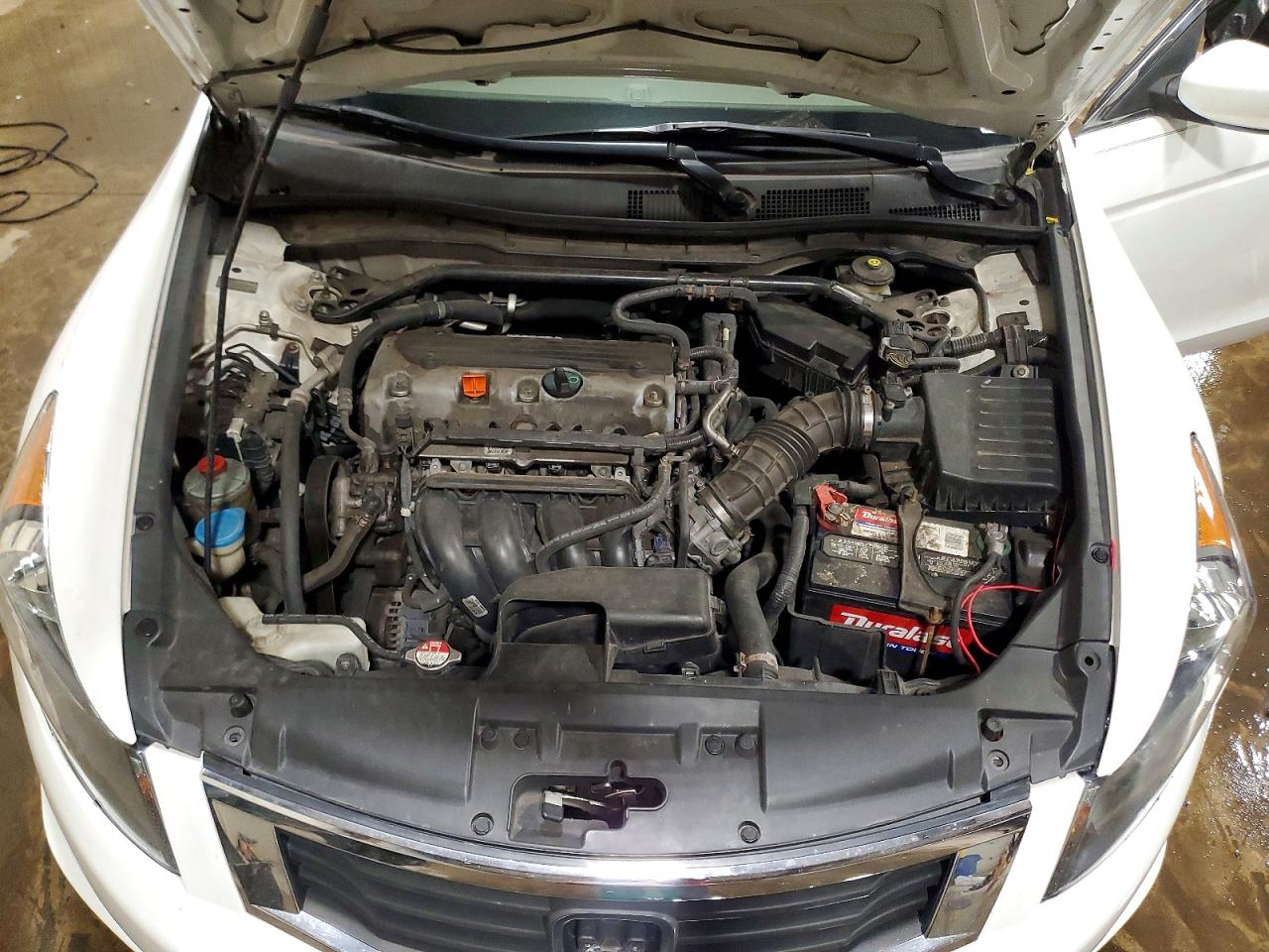 2010 Honda Accord Ex White vin: 1HGCP2F7XAA019838