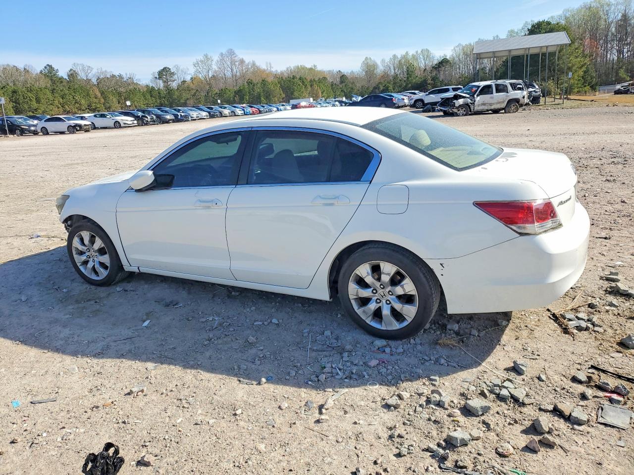 2010 Honda Accord Ex White vin: 1HGCP2F7XAA044934