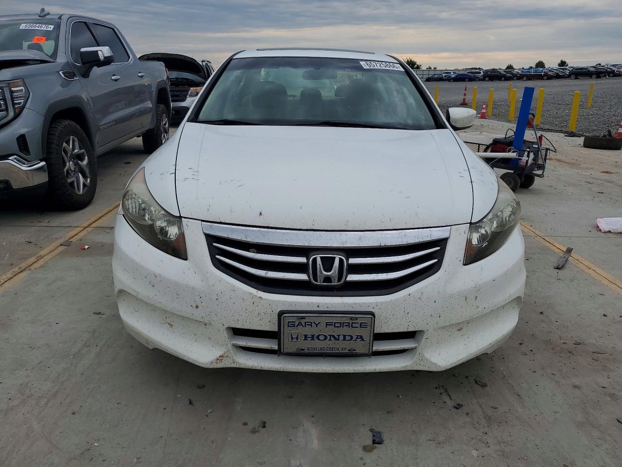 2011 Honda Accord White vin: 1HGCP2F7XBA067194