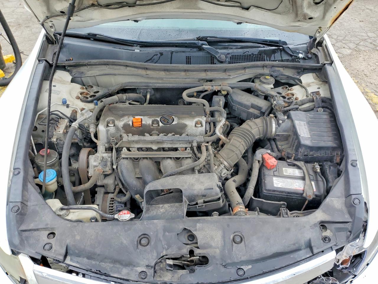 2011 Honda Accord Ex White vin: 1HGCP2F7XBA097814