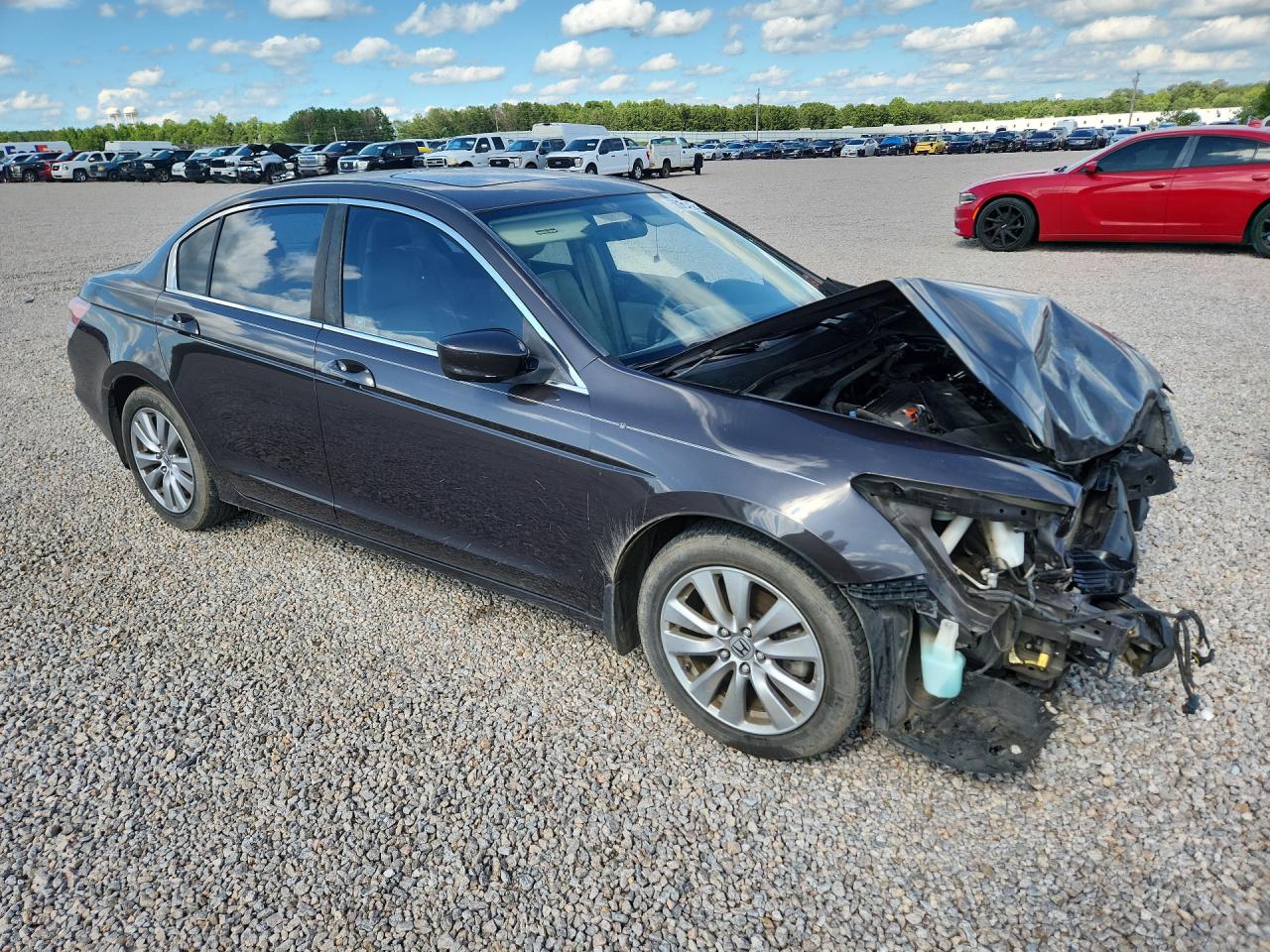 2011 Honda Accord Ex Brown vin: 1HGCP2F7XBA113347
