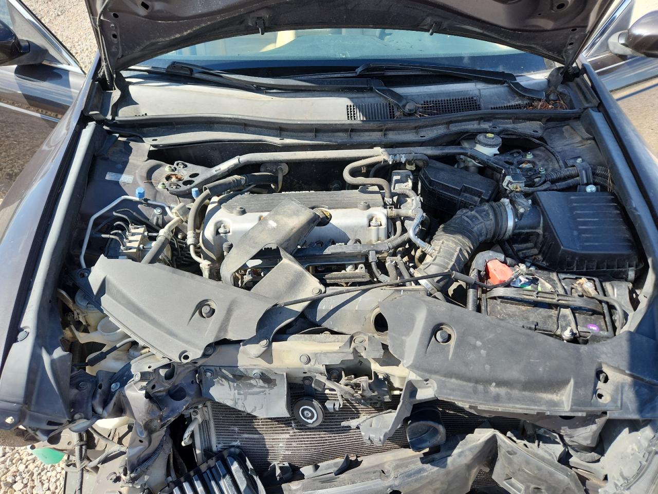 2011 Honda Accord Ex Brown vin: 1HGCP2F7XBA113347