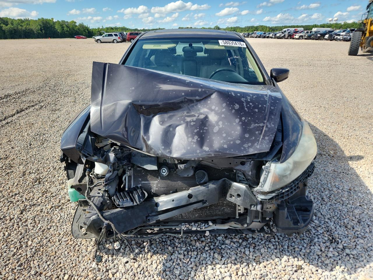 2011 Honda Accord Ex Brown vin: 1HGCP2F7XBA113347