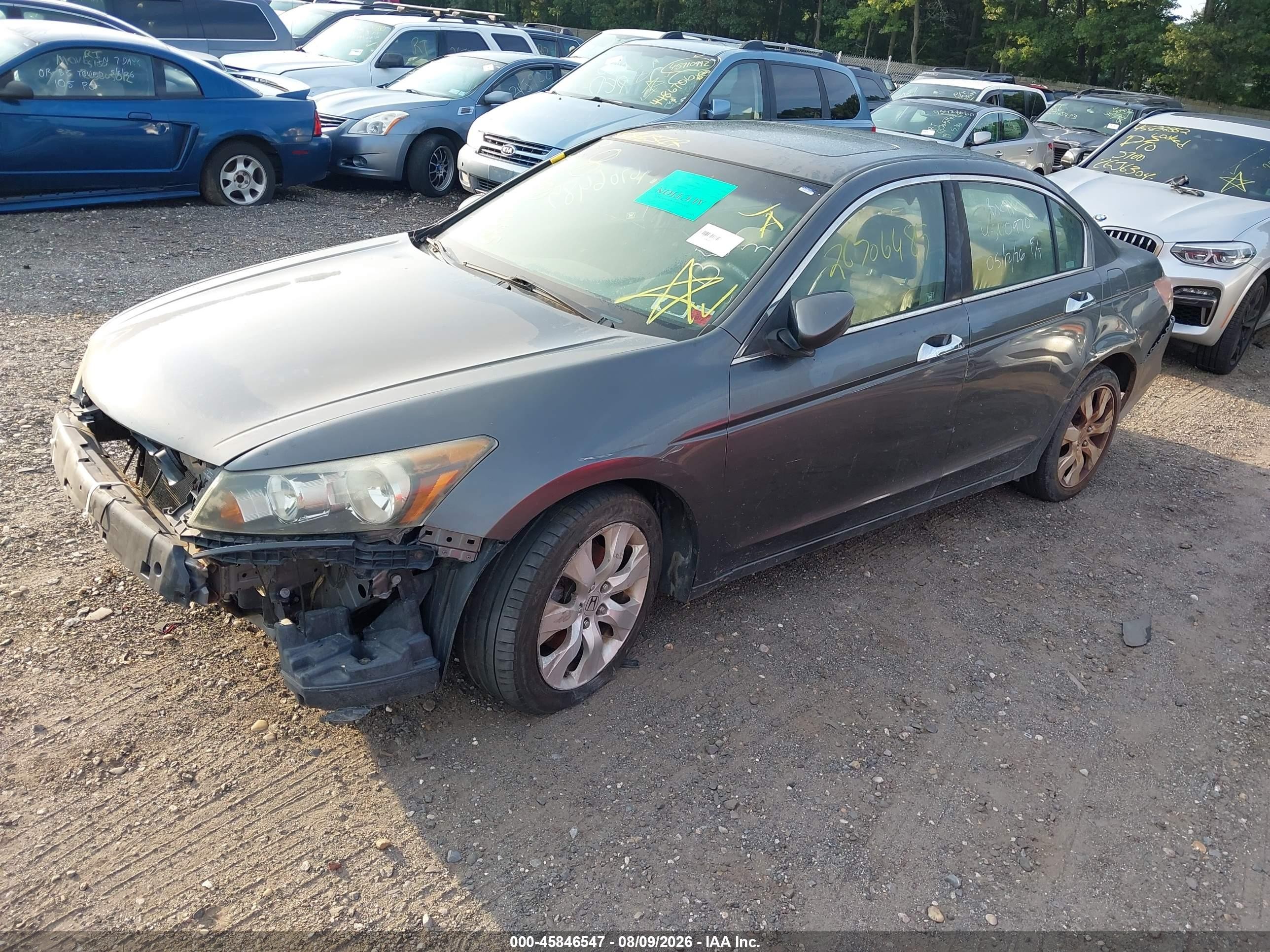 2010 Honda Accord 2.4 Ex-l Серый vin: 1HGCP2F80AA017976