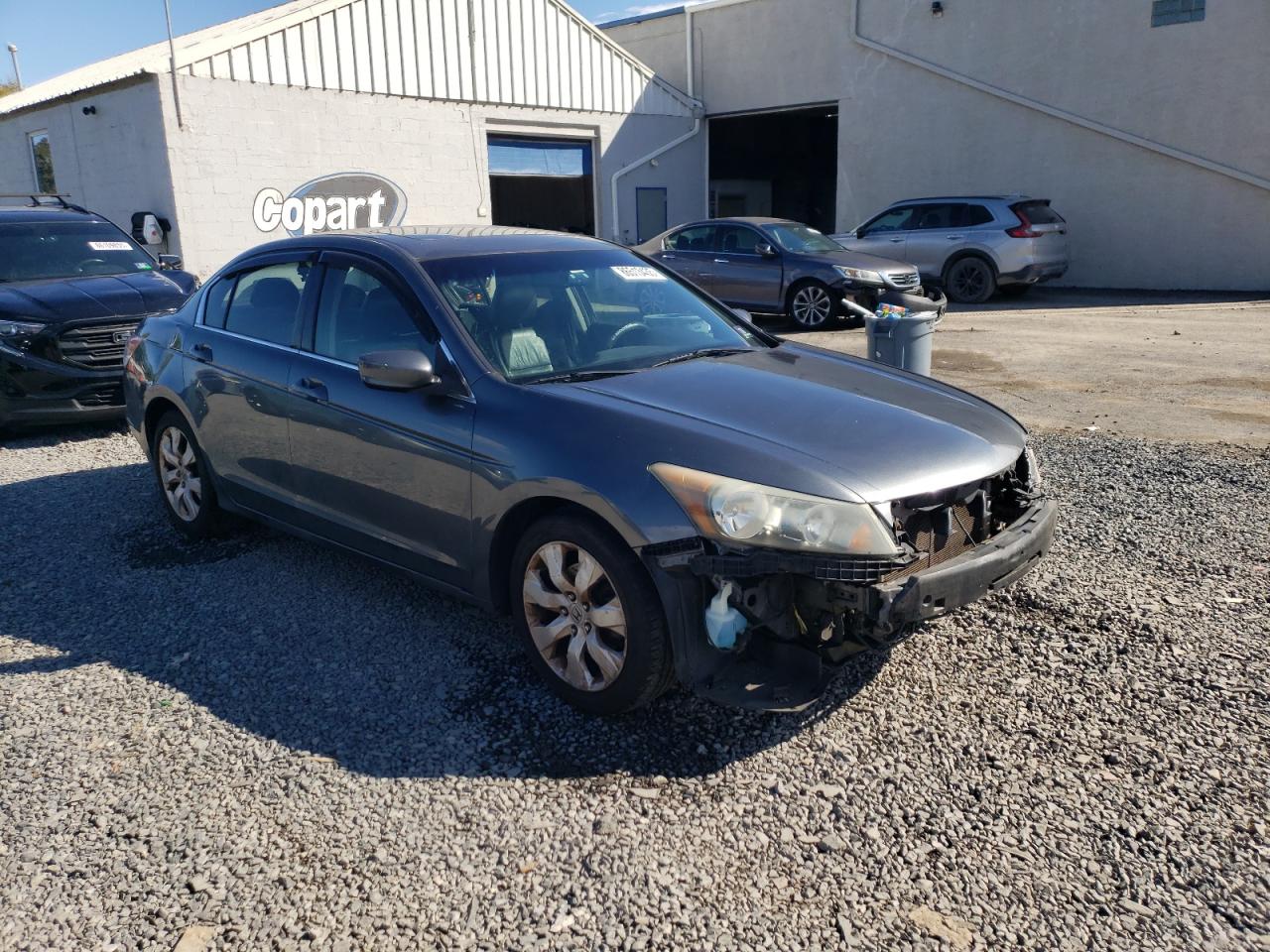 2010 Honda Accord Exl Серый vin: 1HGCP2F80AA183625