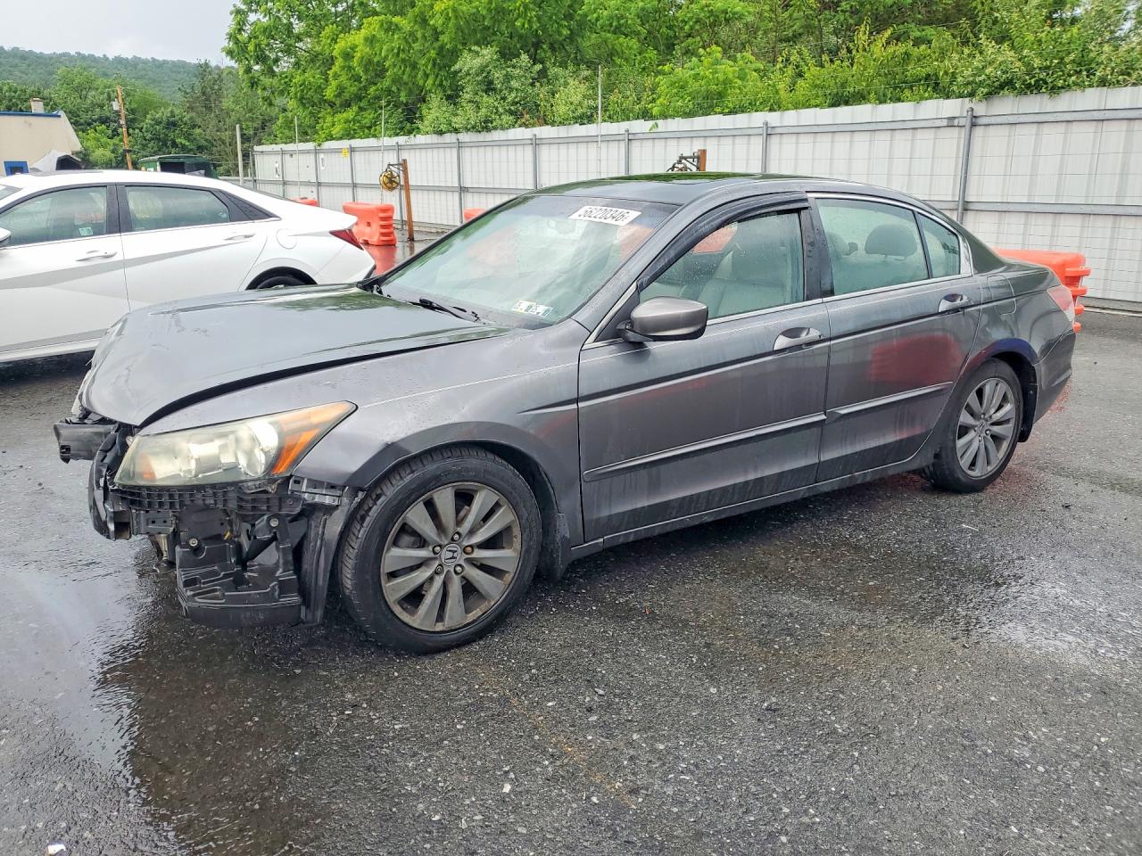 2011 Honda Accord Exl Gray vin: 1HGCP2F80BA001276