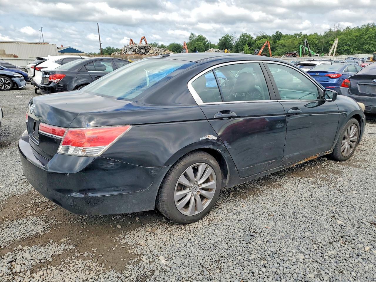 2011 Honda Accord Exl Black vin: 1HGCP2F80BA004131