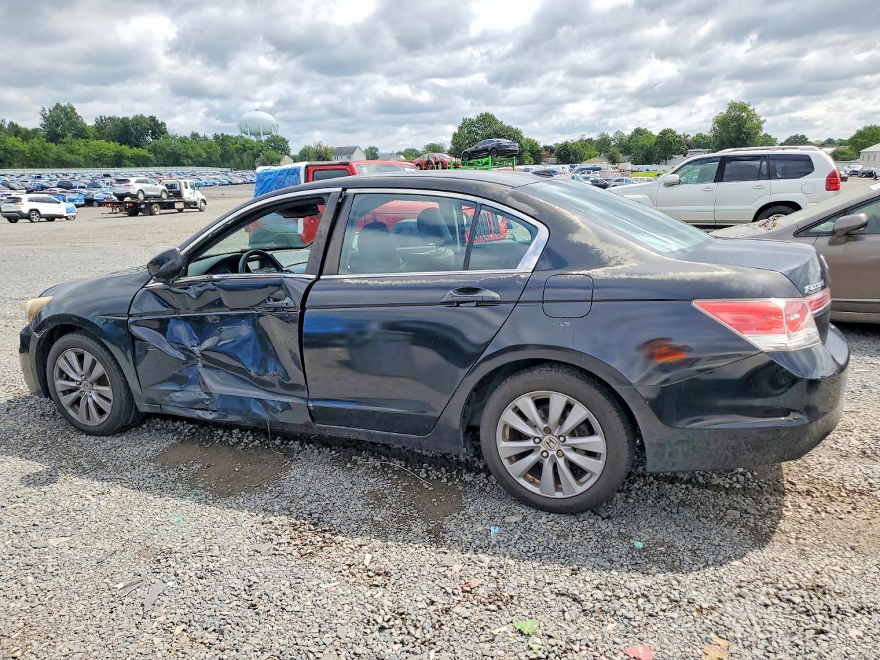 2011 Honda Accord Exl Black vin: 1HGCP2F80BA004131