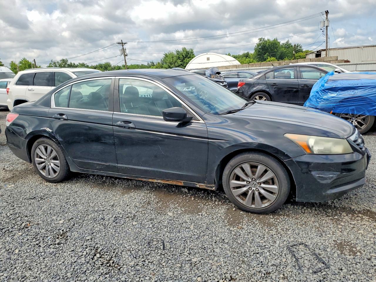 2011 Honda Accord Exl Black vin: 1HGCP2F80BA004131