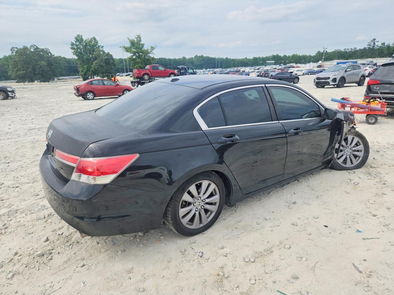 2011 Honda Accord Exl Black vin: 1HGCP2F80BA006798
