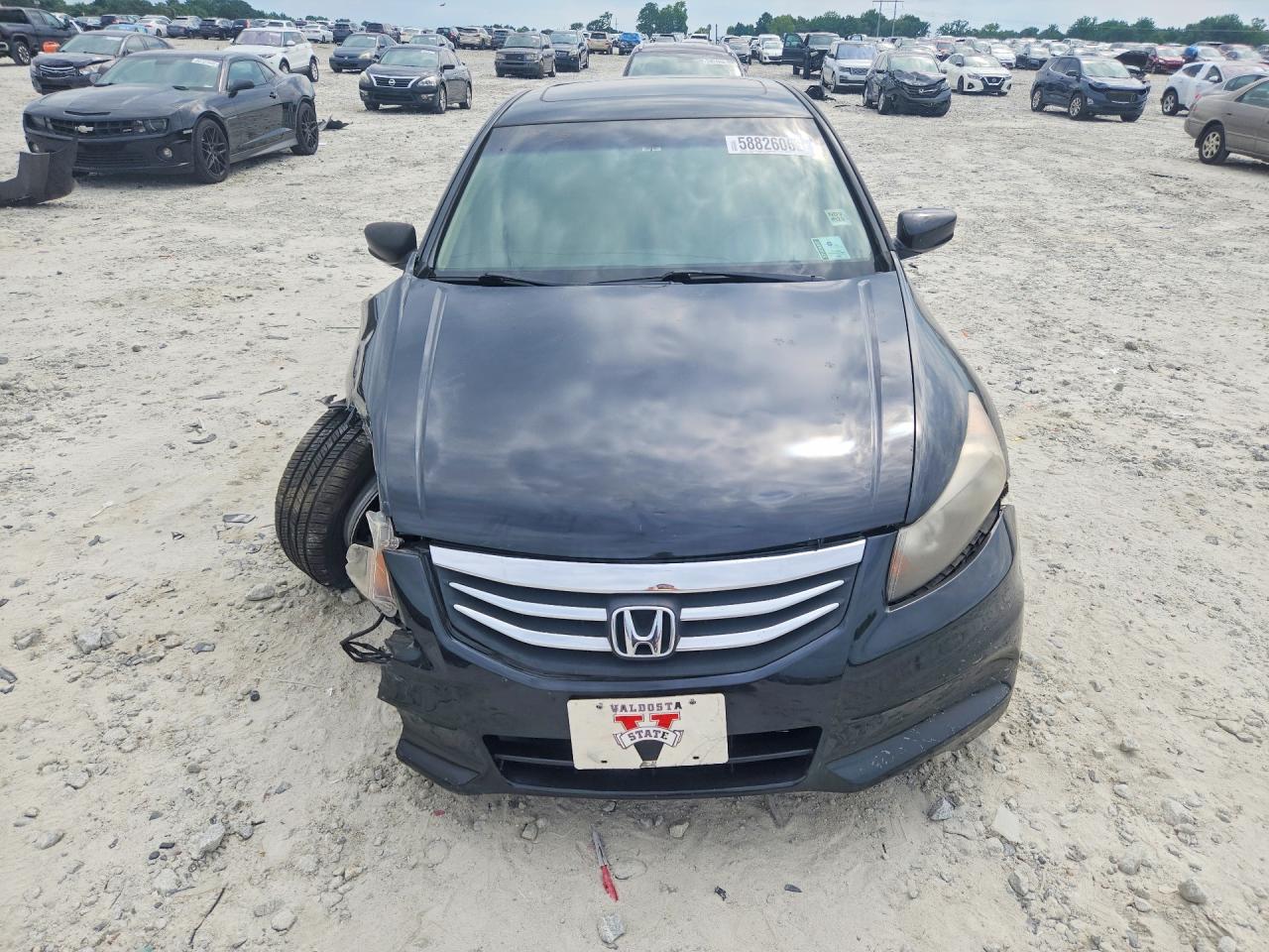 2011 Honda Accord Exl Black vin: 1HGCP2F80BA006798
