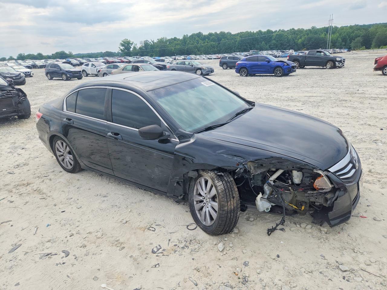 2011 Honda Accord Exl Black vin: 1HGCP2F80BA006798