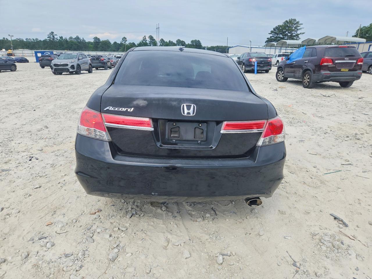 2011 Honda Accord Exl Black vin: 1HGCP2F80BA006798