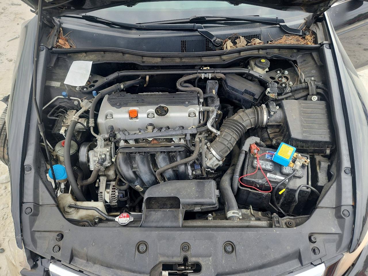 2011 Honda Accord Exl Black vin: 1HGCP2F80BA006798
